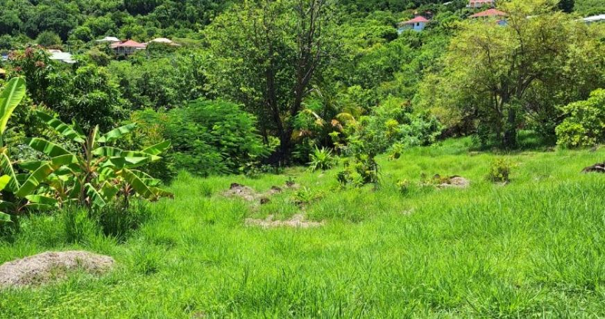 vente Maison mezzanine Terre De Bas