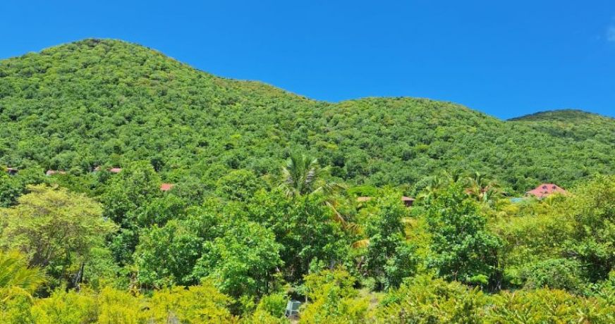 vente Maison mezzanine Terre De Bas