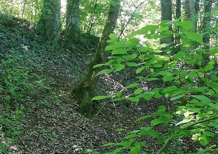 vente Maison Mornay Sur Allier