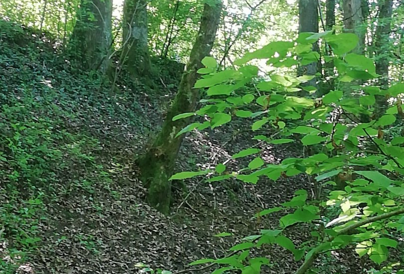 vente Maison Mornay Sur Allier - Photo 9