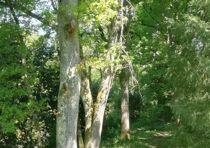 vente Maison Mornay Sur Allier