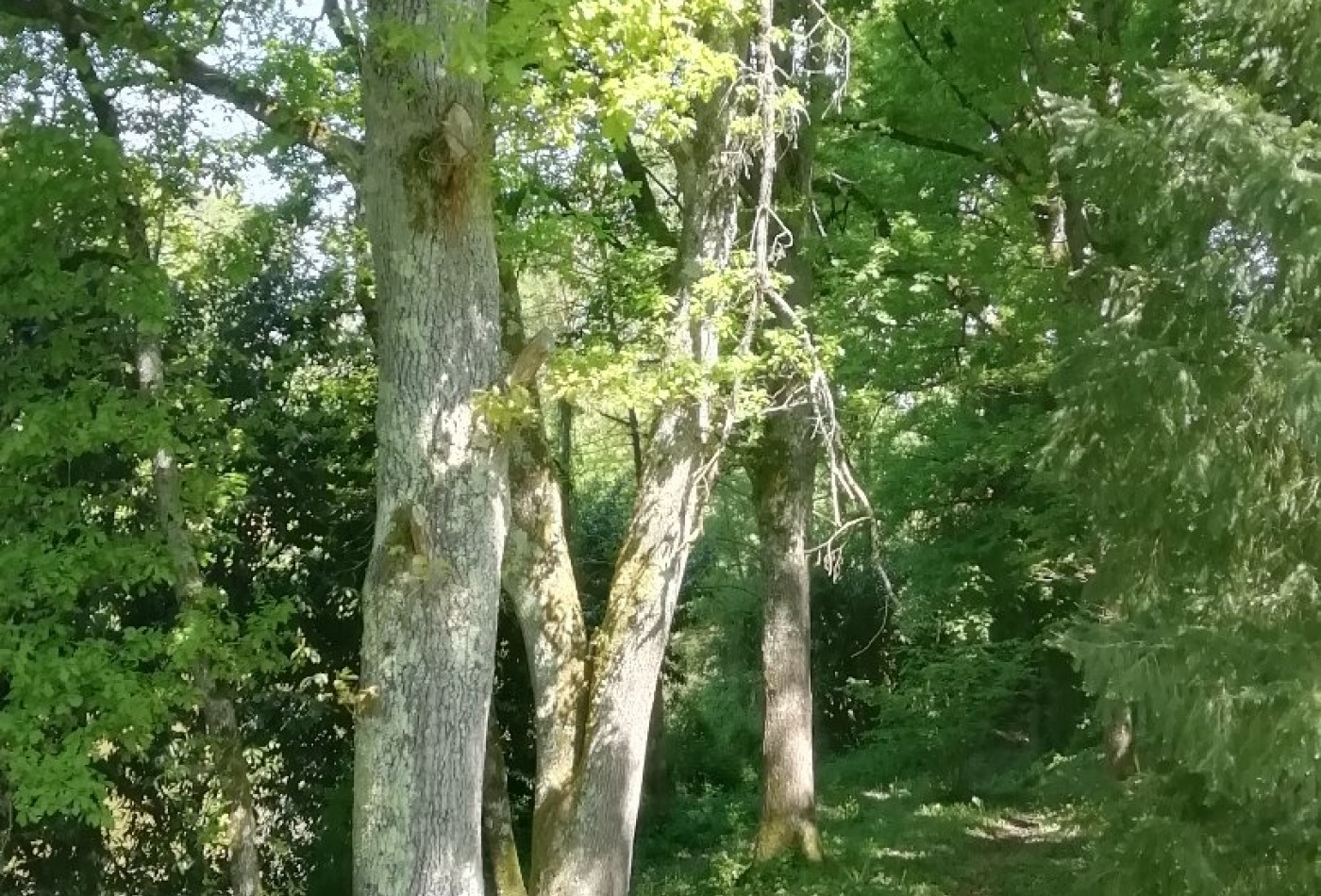 vente Maison Mornay Sur Allier - Photo 7