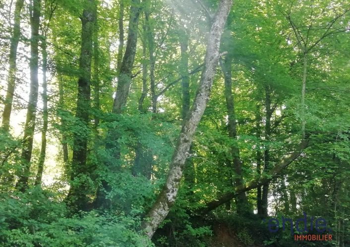 vente Maison Mornay Sur Allier