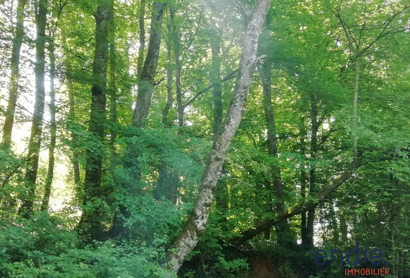 vente Maison Mornay Sur Allier - Photo 8