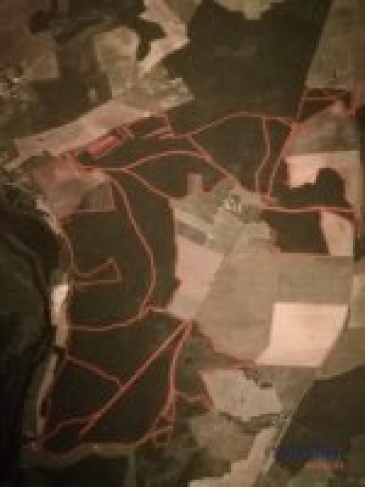 vente Propriété forestière Chateauneuf Sur Cher - Photo 4