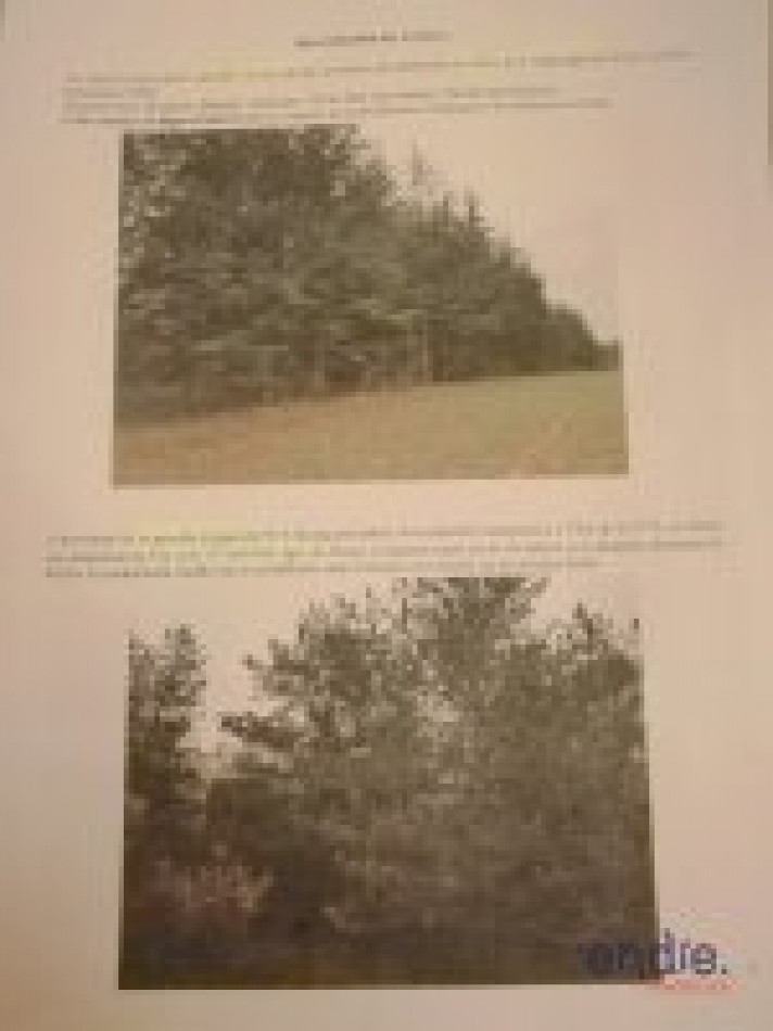 vente Propriété forestière Chateauneuf Sur Cher - Photo 3