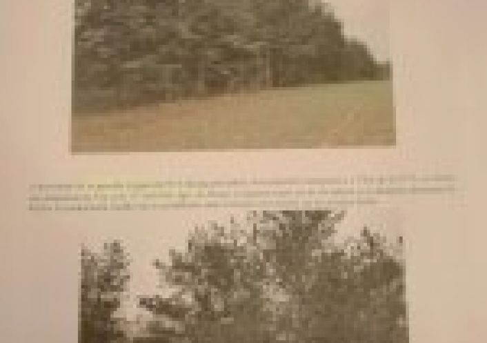 vente Propriété forestière Chateauneuf Sur Cher