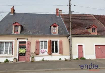 vente Maison Ourouer Les Bourdelins