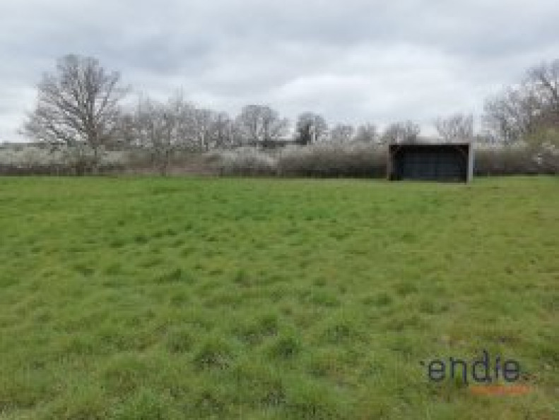 vente Terrain agricole Mornay Sur Allier - Photo 1