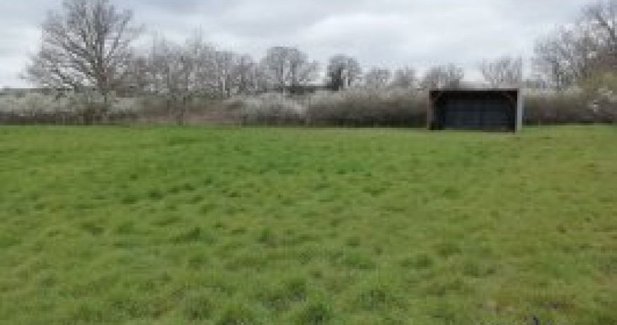 vente Terrain agricole Mornay Sur Allier