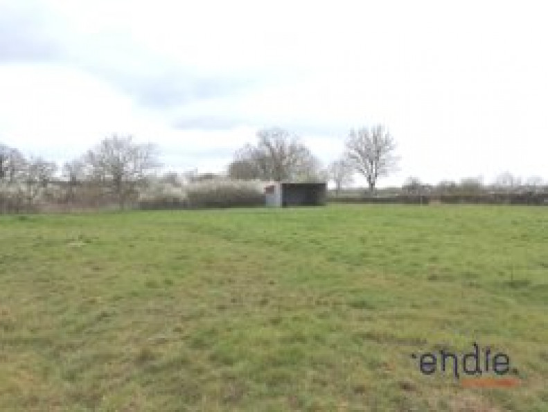 vente Terrain agricole Mornay Sur Allier - Photo 2