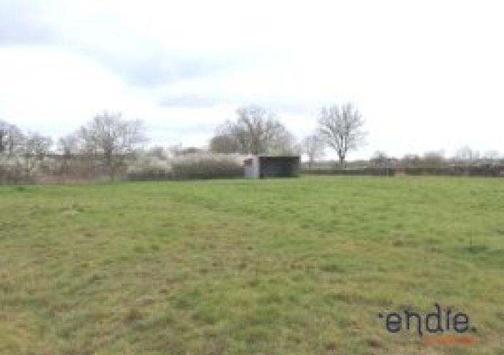 vente Terrain agricole Mornay Sur Allier