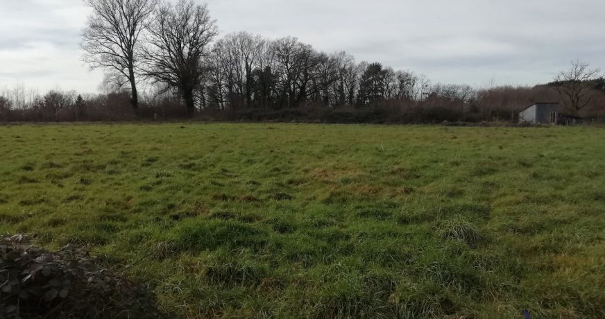 vente Terrain constructible La Guerche Sur L'aubois