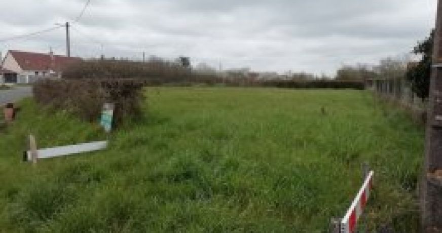 vente Terrain constructible Mornay Sur Allier