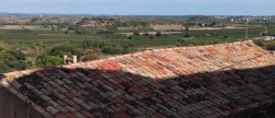 vente Maison Puissalicon