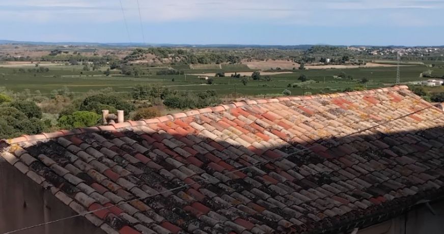 vente Maison Puissalicon