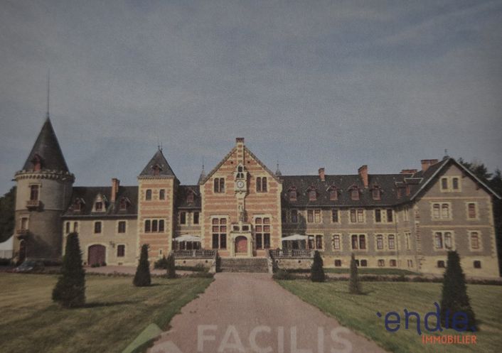 à vendre Château Lurcy Levis