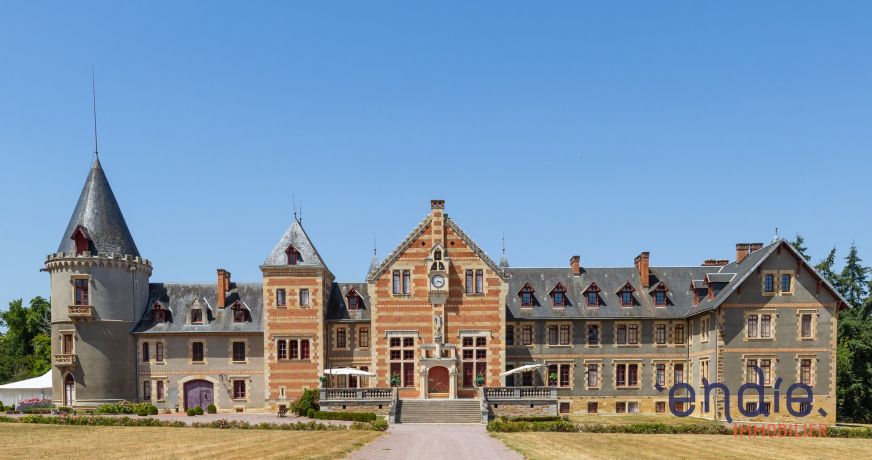 vente Château Lurcy Levis