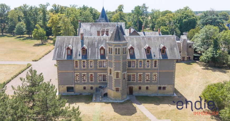 vente Château Lurcy Levis