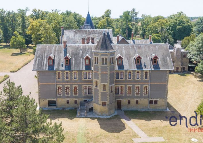 à vendre Château Lurcy Levis