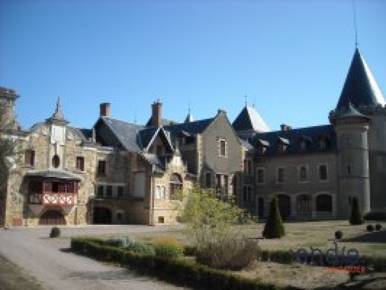 vente Château Lurcy Levis - Photo 6