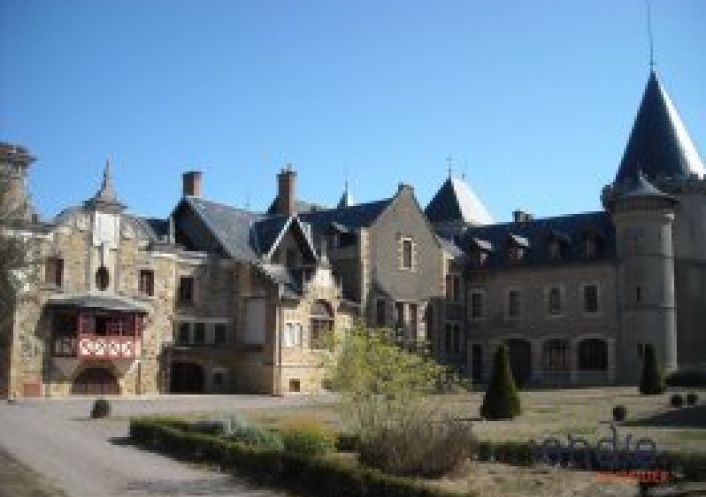 vente Château Lurcy Levis