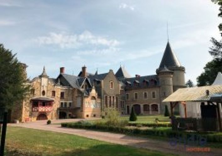 vente Château Lurcy Levis