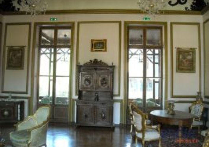 vente Château Lurcy Levis