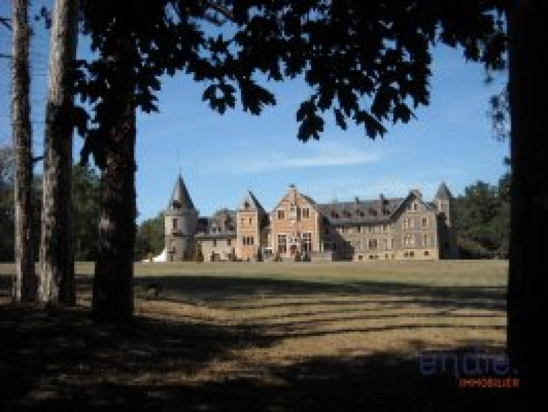 vente Château Lurcy Levis - Photo 2