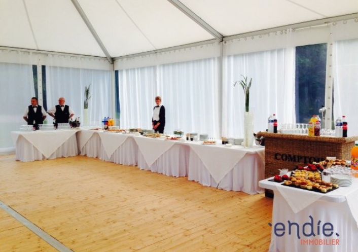 vente Château Lurcy Levis