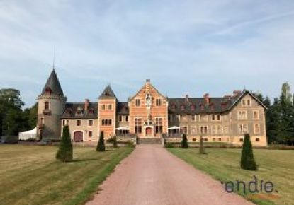 vente Château Lurcy Levis