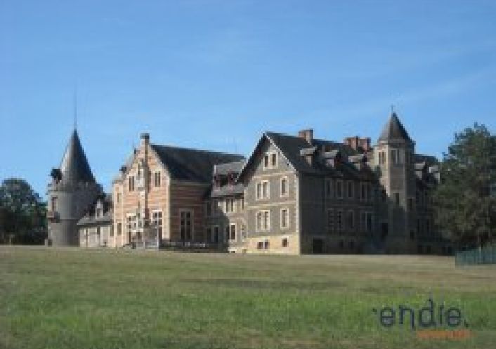 vente Château Lurcy Levis