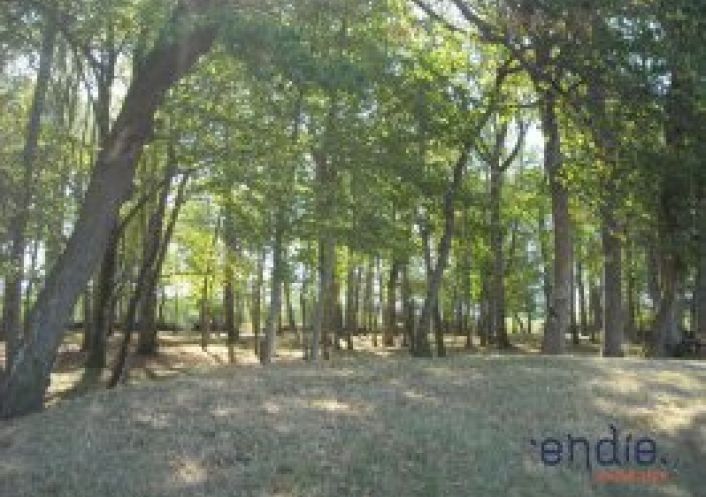 vente Château Lurcy Levis