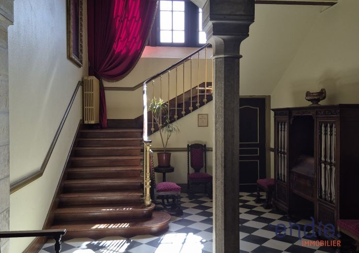 à vendre Château Lurcy Levis