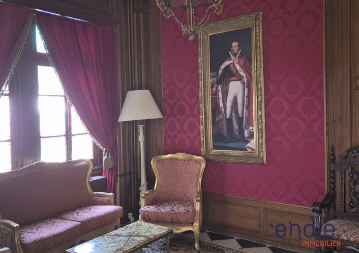 à vendre Château Lurcy Levis