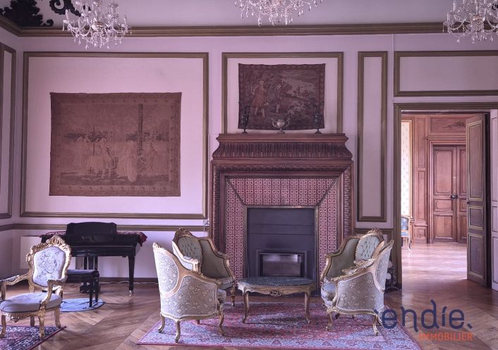 à vendre Château Lurcy Levis