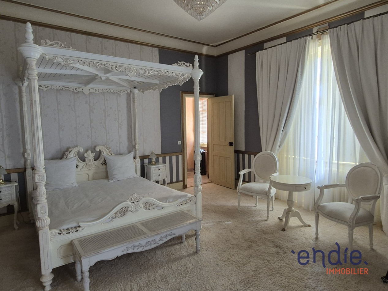 à vendre Château Lurcy Levis - Photo 17