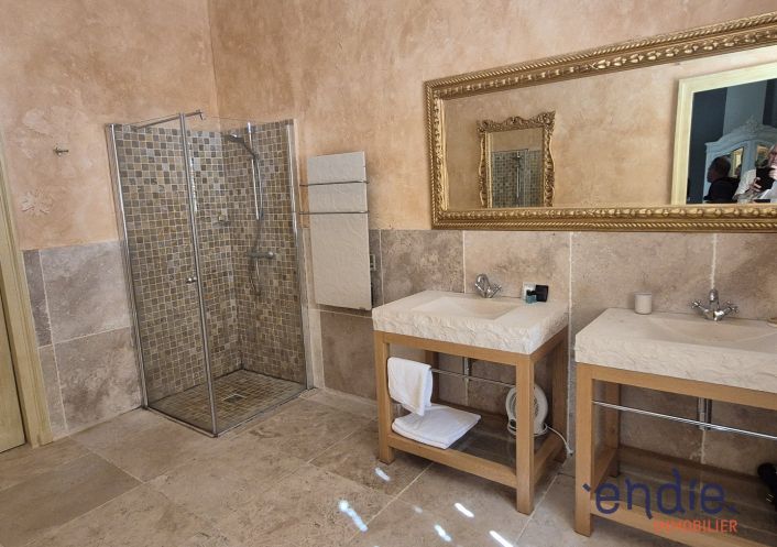 à vendre Château Lurcy Levis