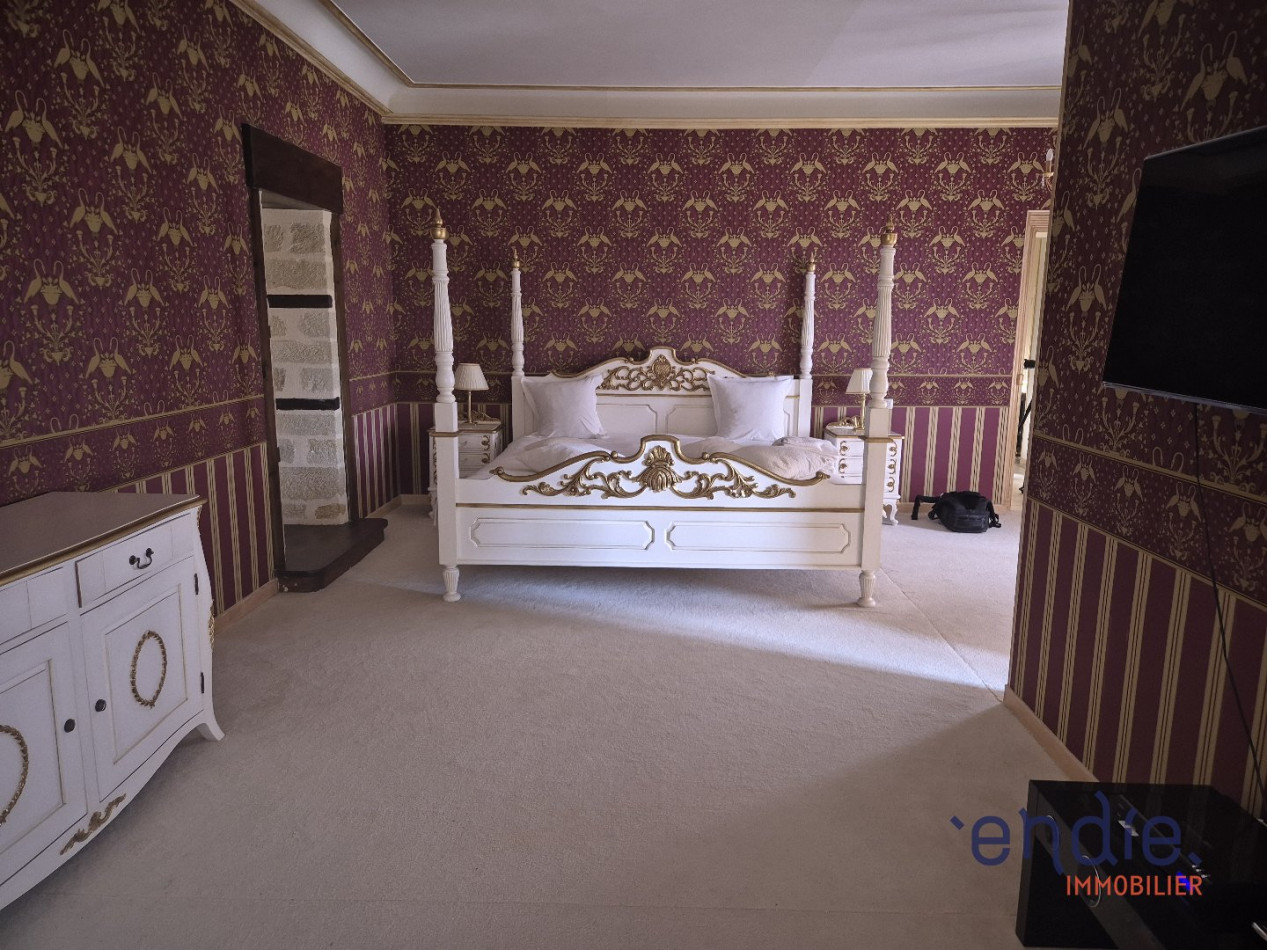 à vendre Château Lurcy Levis - Photo 14