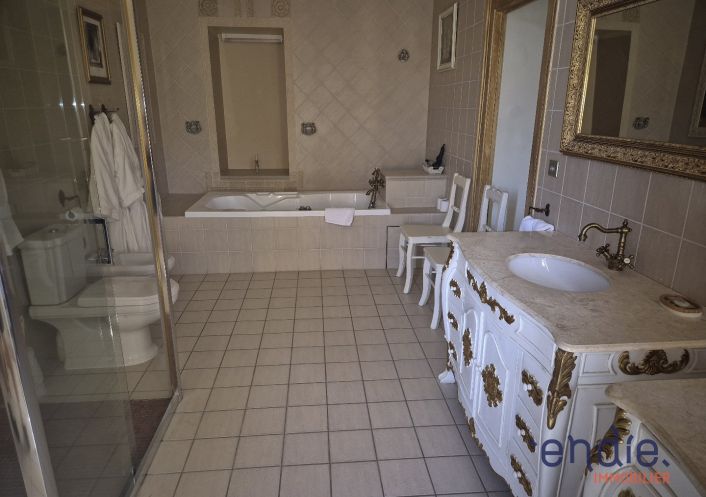 à vendre Château Lurcy Levis