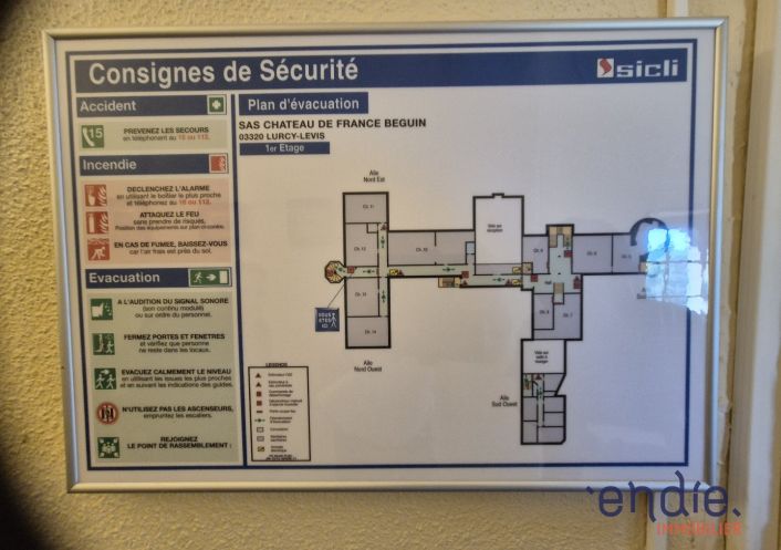 à vendre Château Lurcy Levis