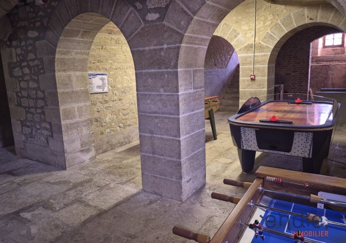 à vendre Château Lurcy Levis