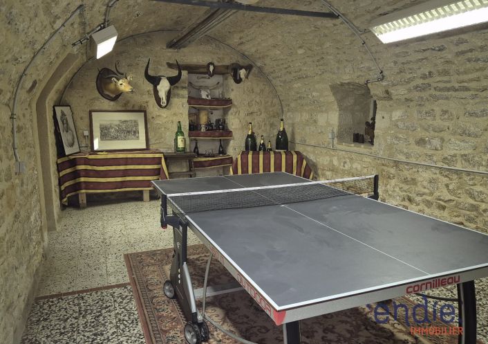 à vendre Château Lurcy Levis