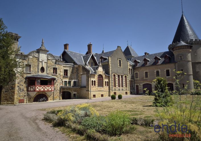 à vendre Château Lurcy Levis