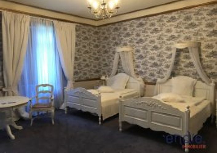 vente Château Lurcy Levis