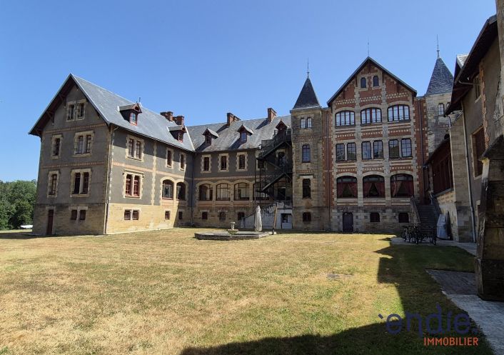 à vendre Château Lurcy Levis