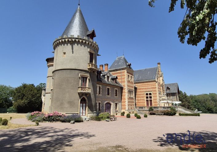 à vendre Château Lurcy Levis