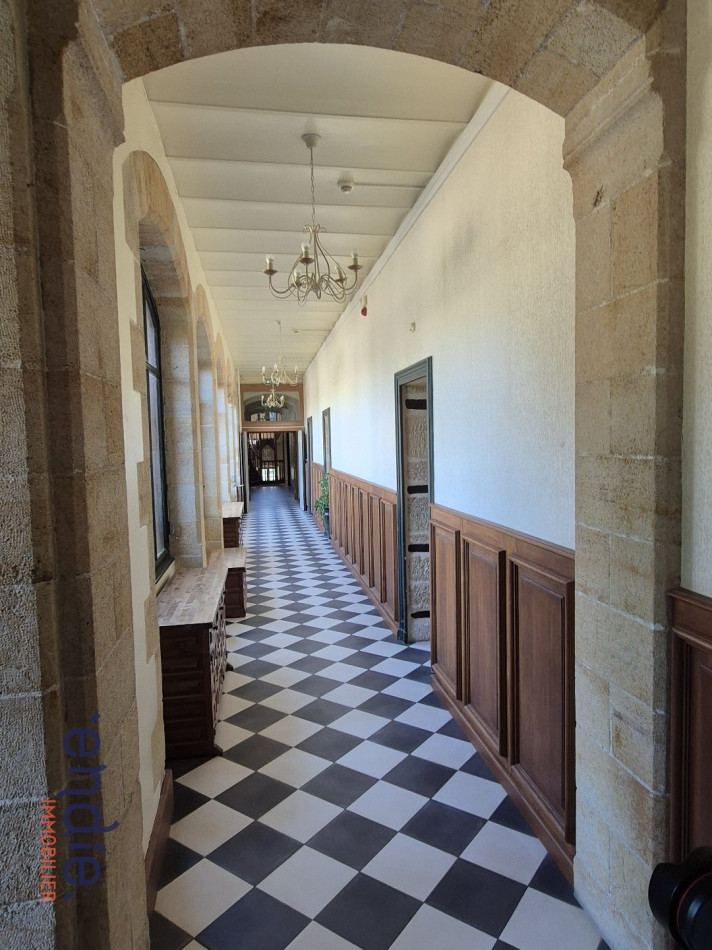 à vendre Château Lurcy Levis - Photo 16