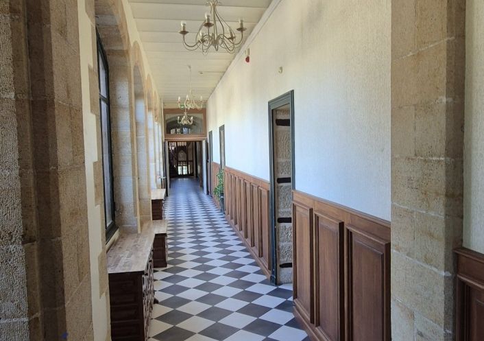 à vendre Château Lurcy Levis