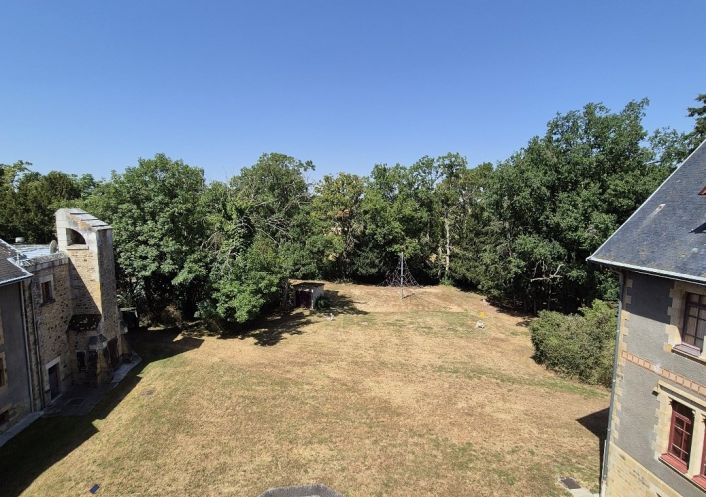 à vendre Château Lurcy Levis